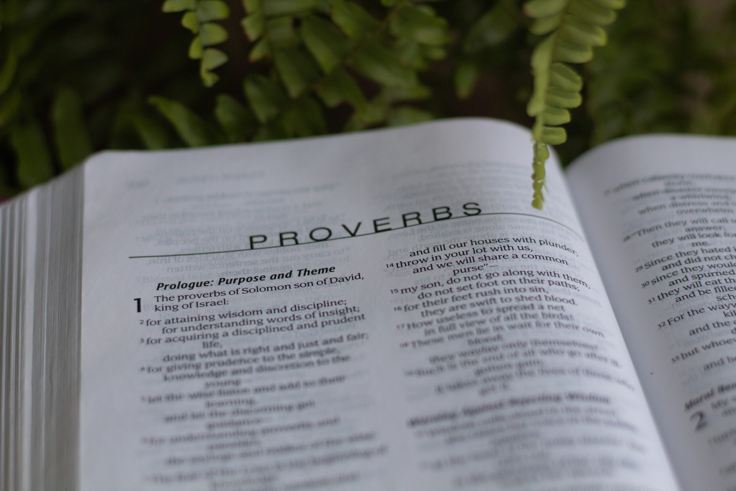 who wrote the book of proverbs